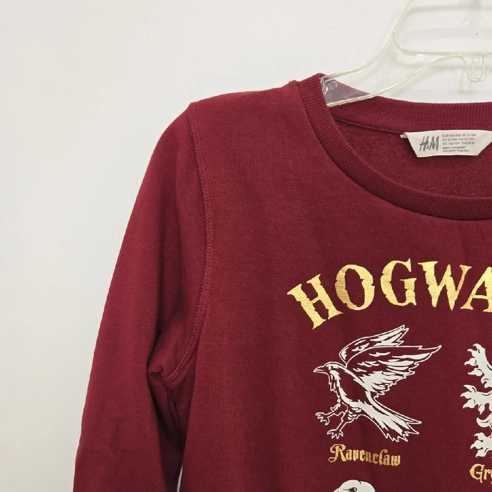 H&M Burgundy Harry Potter Hogwarts Four House Mascots Pullover Sweatshirt